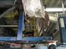 KIF_3991